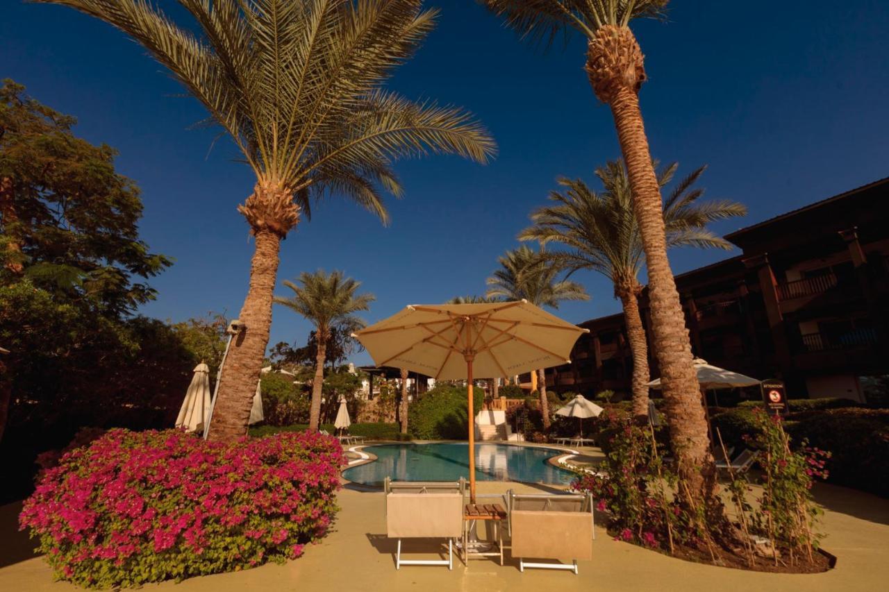 Hotel Royal Savoy Sharm El Sheikh Exterior foto The pool at the Hilton Sharm El Sheikh